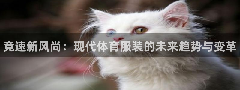 oety欧亿