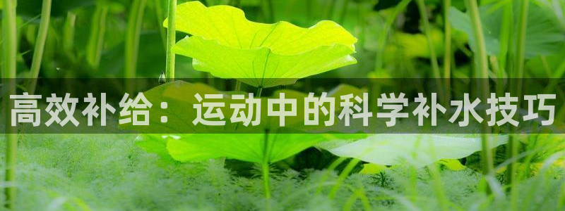 oety欧亿