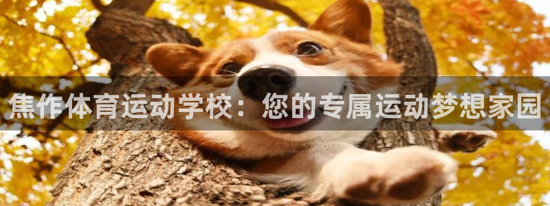 oety欧亿