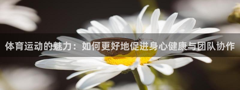 oety欧亿