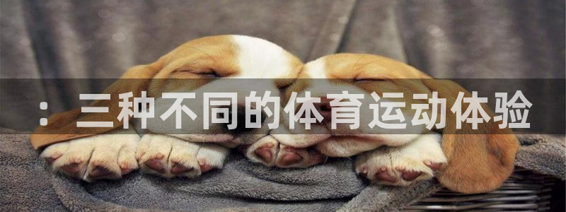 oety欧亿