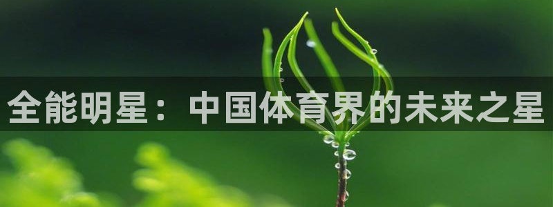 oety欧亿