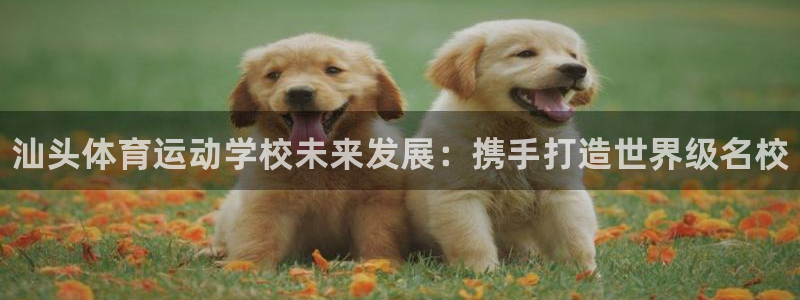 oety欧亿