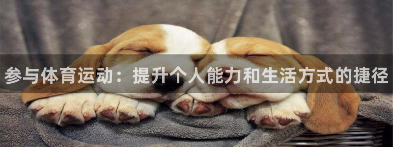 oety欧亿