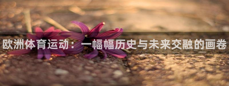 oety欧亿