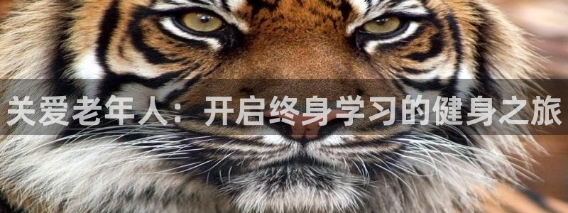 oety欧亿