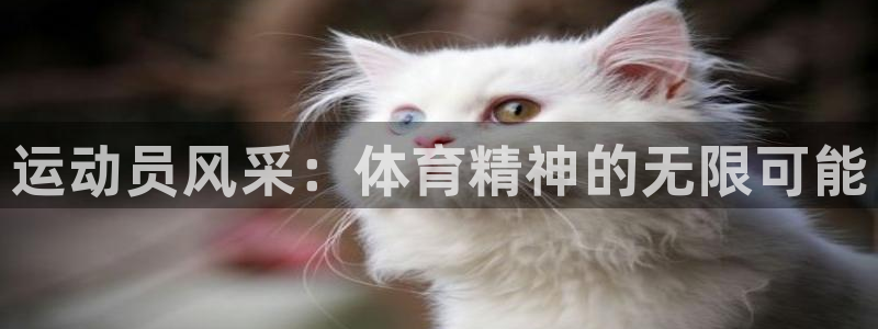 oety欧亿