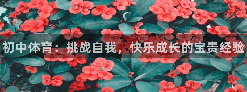 oety欧亿