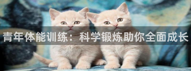 oety欧亿