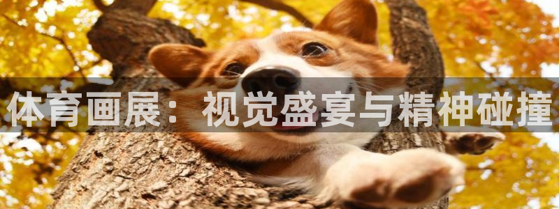 oety欧亿