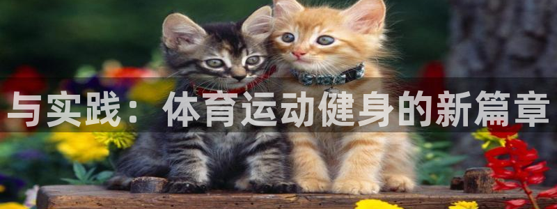 oety欧亿
