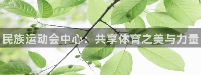 oety欧亿
