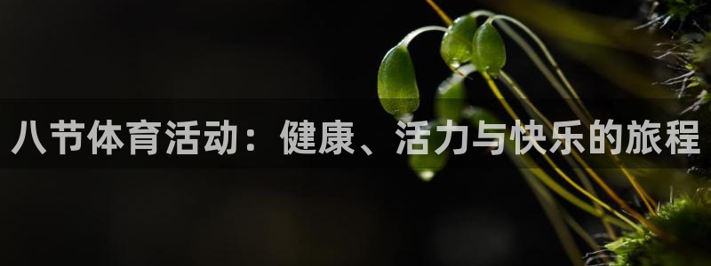oety欧亿