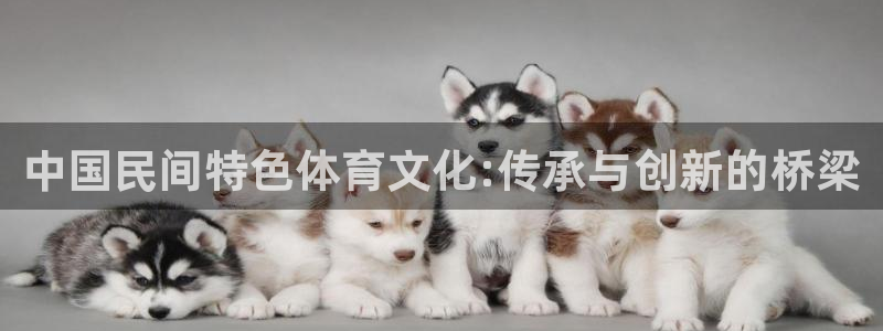 oety欧亿
