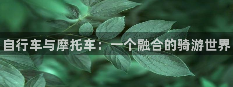 oety欧亿