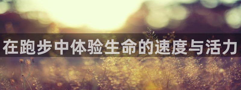 oety欧亿