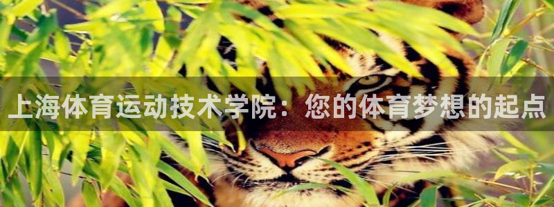 oety欧亿