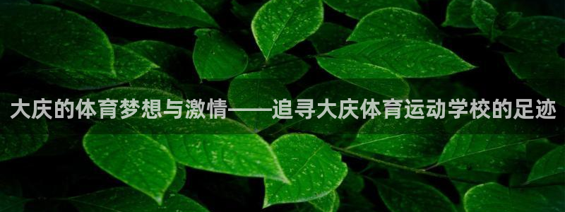 oety欧亿