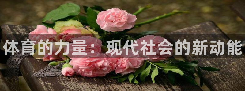 oety欧亿