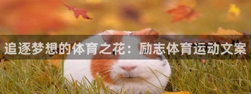 oety欧亿